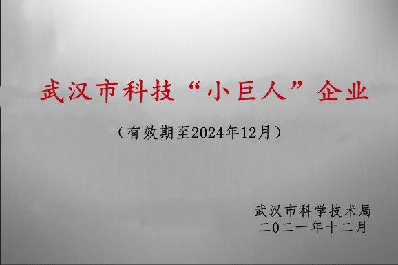 高新技術企業證書